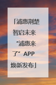 浦惠荆楚 智启未来 “浦惠来了”APP焕新发布