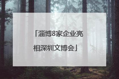 淄博8家企业亮相深圳文博会