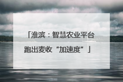 淮滨：智慧农业平台跑出麦收“加速度”