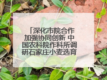 深化市院合作 加强协同创新 中国农科院作科所调研石家庄小麦选育种等工作
