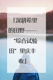 深耕希望的田野——“综合试验田”里庆丰收