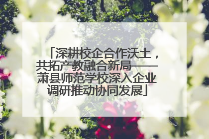 深耕校企合作沃土，共拓产教融合新局——萧县师范学校深入企业调研推动协同发展