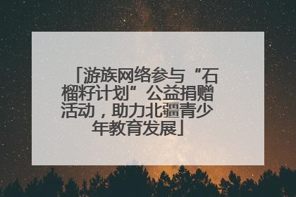 游族网络参与“石榴籽计划”公益捐赠活动，助力北疆青少年教育发展
