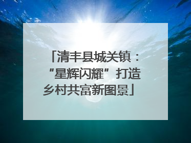 清丰县城关镇：“星辉闪耀”打造乡村共富新图景