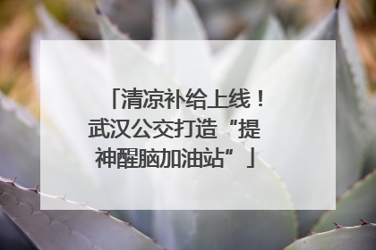 清凉补给上线！武汉公交打造“提神醒脑加油站”