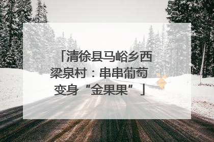 清徐县马峪乡西梁泉村：串串葡萄变身“金果果”