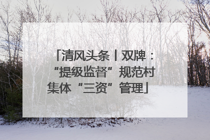 清风头条丨双牌：“提级监督”规范村集体“三资”管理