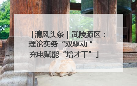 清风头条｜武陵源区：理论实务“双驱动 ” 充电赋能“增才干”