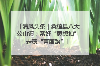 清风头条｜桑植县八大公山镇：系好“思想扣” 走稳“青廉路”
