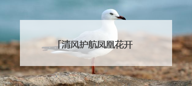 清风护航凤凰花开 纪检护航廉韵绵长