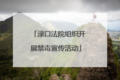 渌口法院组织开展禁毒宣传活动