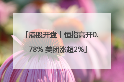 港股开盘丨恒指高开0.78% 美团涨超2%