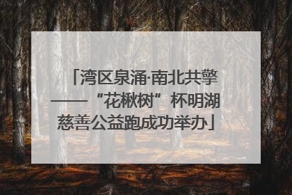 湾区泉涌·南北共擎——“花楸树”杯明湖慈善公益跑成功举办