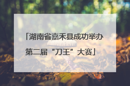 湖南省嘉禾县成功举办第二届“刀王”大赛