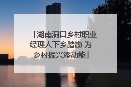 湖南洞口乡村职业经理人下乡踏勘 为乡村振兴添动能