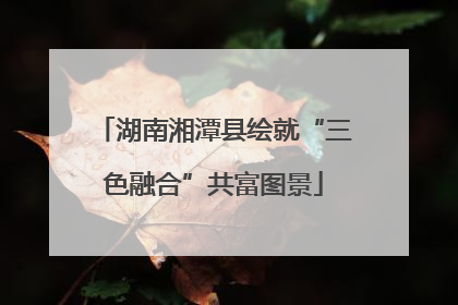湖南湘潭县绘就“三色融合”共富图景