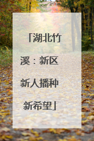 湖北竹溪：新区新人播种新希望