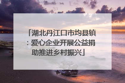 湖北丹江口市均县镇：爱心企业开展公益捐助推进乡村振兴