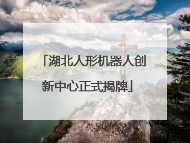湖北人形机器人创新中心正式揭牌