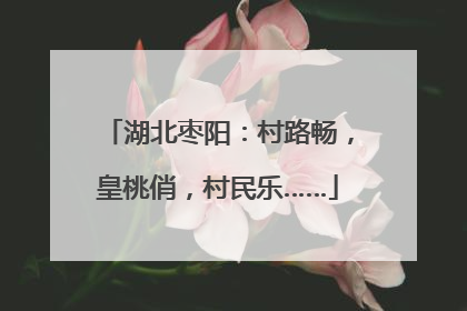 湖北枣阳：村路畅，皇桃俏，村民乐……