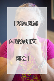 湖湘风潮闪耀深圳文博会