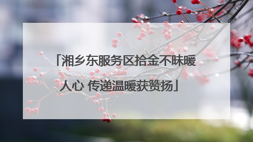 湘乡东服务区拾金不昧暖人心 传递温暖获赞扬