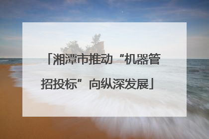 湘潭市推动“机器管招投标”向纵深发展