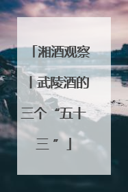 湘酒观察丨武陵酒的三个“五十三 ”