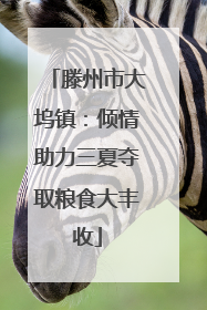滕州市大坞镇：倾情助力三夏夺取粮食大丰收