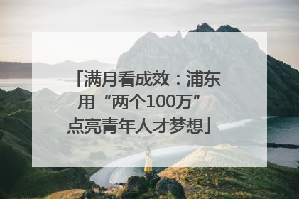 满月看成效：浦东用“两个100万”点亮青年人才梦想