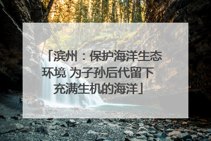 滨州：保护海洋生态环境 为子孙后代留下充满生机的海洋