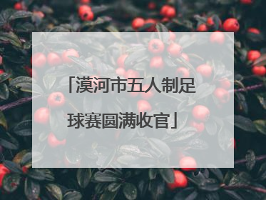 漠河市五人制足球赛圆满收官
