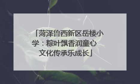 菏泽鲁西新区岳楼小学：粽叶飘香润童心 文化传承乐成长