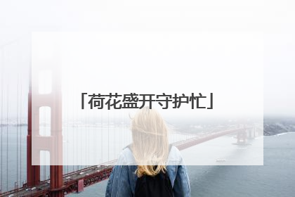 荷花盛开守护忙