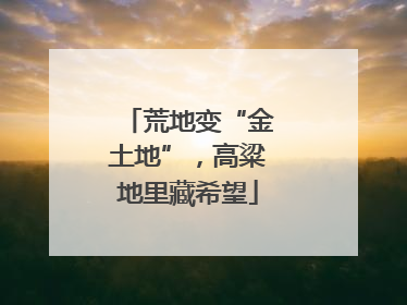 荒地变“金土地”，高粱地里藏希望