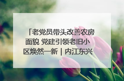 老党员带头改善农房面貌 党建引领老旧小区焕然一新｜内江东兴“红”在哪？④