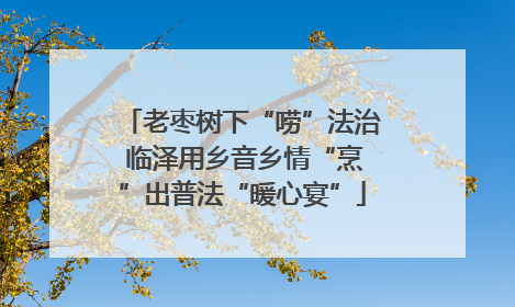 老枣树下“唠”法治 临泽用乡音乡情“烹”出普法“暖心宴”