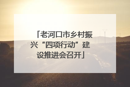 老河口市乡村振兴“四项行动”建设推进会召开