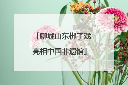 聊城山东梆子戏亮相中国非遗馆