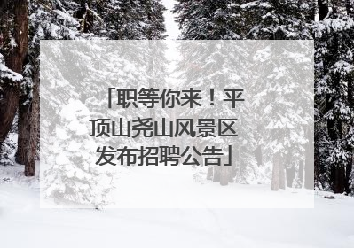 职等你来！平顶山尧山风景区发布招聘公告
