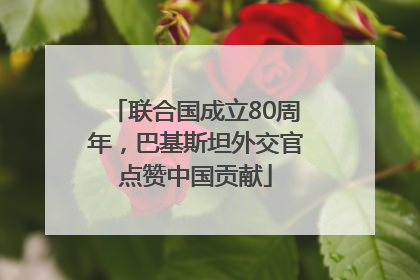 联合国成立80周年，巴基斯坦外交官点赞中国贡献