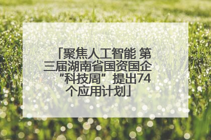 聚焦人工智能 第三届湖南省国资国企“科技周”提出74个应用计划
