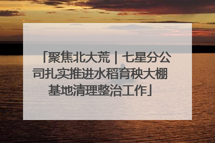 聚焦北大荒｜七星分公司扎实推进水稻育秧大棚基地清理整治工作