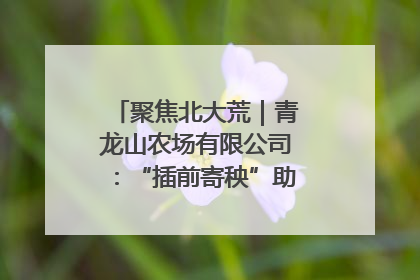 聚焦北大荒｜青龙山农场有限公司：“插前寄秧”助力农业节本增效