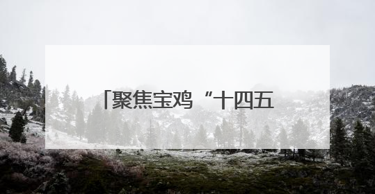 聚焦宝鸡“十四五”发展成就丨岐山“一碗面”经济全产业链产值达162亿元 入选全国典型县