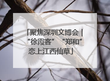 聚焦深圳文博会｜“徐霞客”“郑和”恋上江西仙草