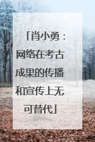肖小勇：网络在考古成果的传播和宣传上无可替代