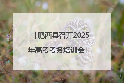 肥西县召开2025年高考考务培训会