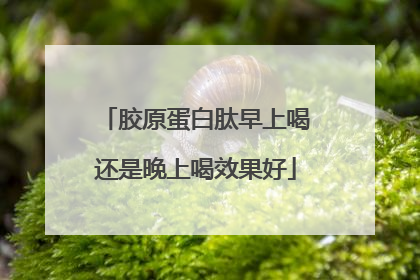 胶原蛋白肽早上喝还是晚上喝效果好