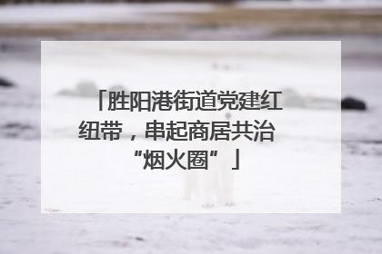 胜阳港街道党建红纽带，串起商居共治 “烟火圈”